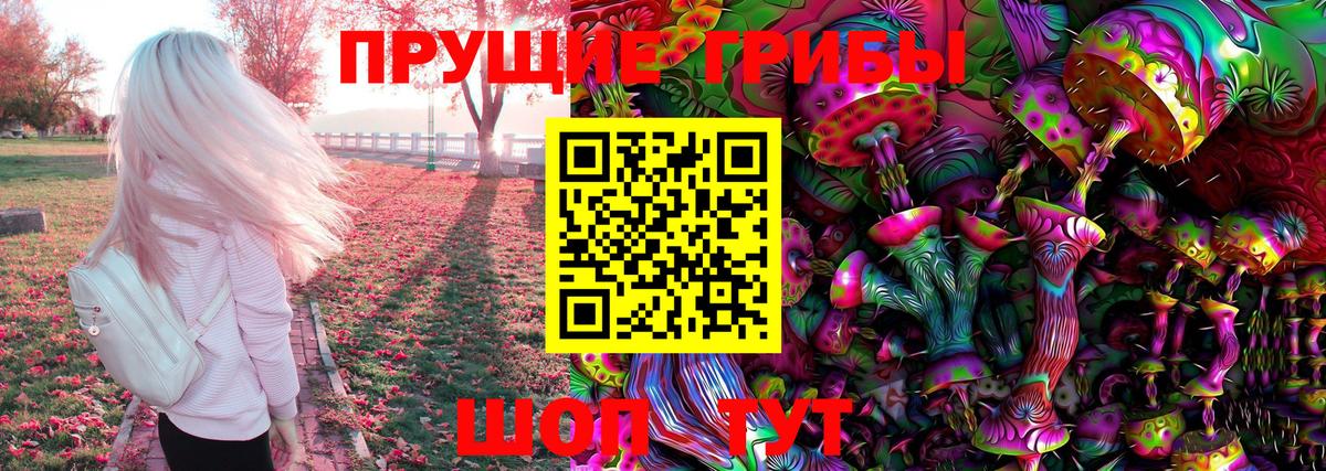 Псилоцибиновые грибы Psilocybine cubensis Алейск