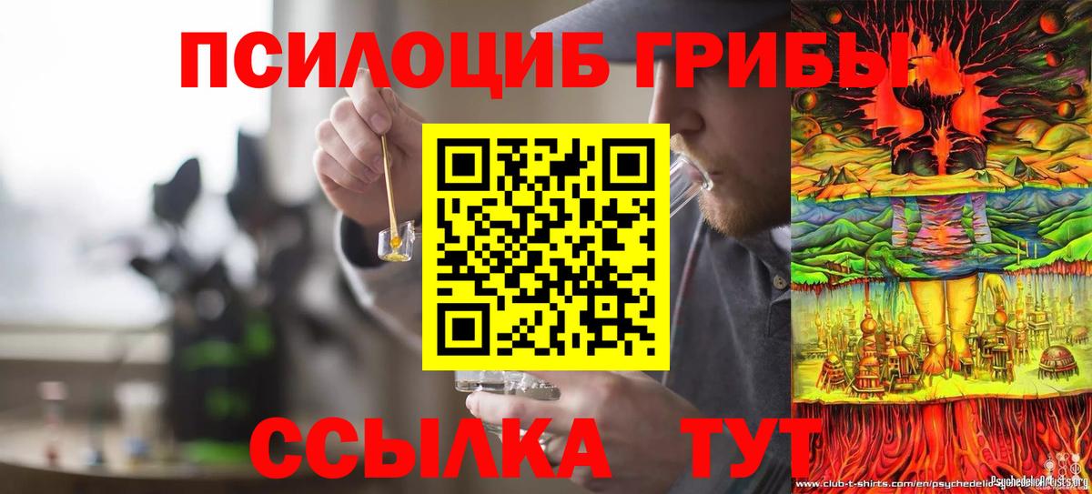 Алейск  Псилоцибиновые грибы мицелий  Вход с VPN  Галлюциногенные грибы мицелий 